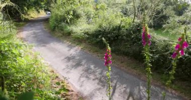 Ourense, İspanya, 13 Haziran 2025: Görüntü yoğun, gölgeli bir ormanın içinden esen toprak bir patikada kısmen gizlenmiş bir off-road aracının arka görüntüsünü sunuyor..