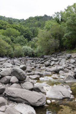 Görüntü, çeşitli büyüklükteki gri ve koyu gri kayalarla dolu sığ bir dere yatağının orta açılı bir görüntüsünü sunuyor. Kayalar küçük çakıl taşlarından büyük kaya parçalarına kadar sıralanır.