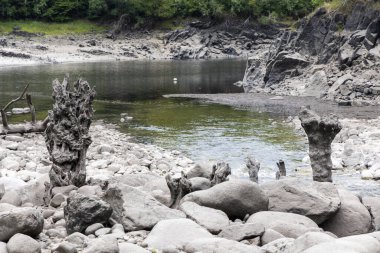 Görüntü gri tonda, nehir yatağının yakın görüntüsünü sunuyor. Ön planda çeşitli düzensiz şekilli kaya ve taşlar var. Bazıları aşınma sonucu oluşmuş gibi görünüyor.,