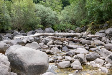 Görüntü, çeşitli boyutlarda büyük, gri ve açık kahverengi kayalarla dolu sığ bir nehir yatağının düşük açılı orta açılı görüntüsünü sergiliyor. Düşen bir kütük nehir boyunca geçici bir köprü görevi görür. Şey...
