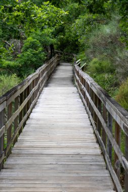 Yüksek açı, ahşap bir merdiven yolunun yemyeşil bir araziye doğru kayması. Merdivende yıpranmış gri-beyaz ahşap basamaklar ve her iki tarafta da paralel ahşap korkuluklar yer alıyor. Şey...