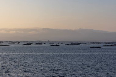 Arka planda bir su kütlesi olan kayalık bir kıyı şeridi. Kayalar kıyı şeridine saçılmış ve su sakin. Sahnenin huzurlu ve huzurlu bir havası var..