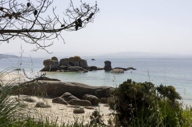 Arka planda bir su kütlesi olan kayalık bir kıyı şeridi. Kayalar kıyı boyunca dağılmış ve su sakin..