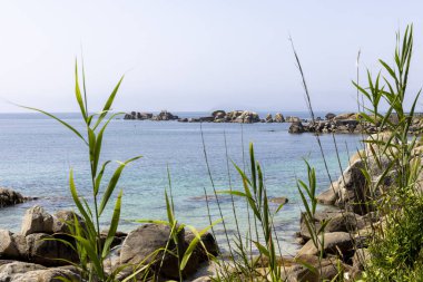 Arka planda bir su kütlesi olan kayalık bir kıyı şeridi. Su mavi ve kıyı şeridi yeşil bitkilerle kaplı.
