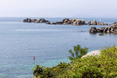 Tahta bir sahil yolu okyanusa çıkar. Tahta kaldırım ağaçlar ve kayalarla kaplı. Okyanus sakin ve mavi
