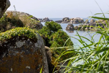 Arka planda bir su kütlesi olan kayalık bir kıyı şeridi. Su mavi ve kıyı şeridi yeşil bitkilerle kaplı.