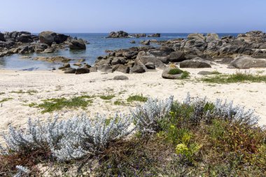 Küçük bir parça ot ve bitkilerle kayalık bir sahil. Kumsal boş ve gökyüzü temiz.