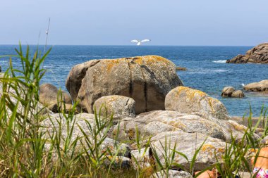 Sahilde büyük bir kayanın yanında bir kişi yatıyor. Kaya uzun otlarla çevrilidir ve okyanus arka plandadır..