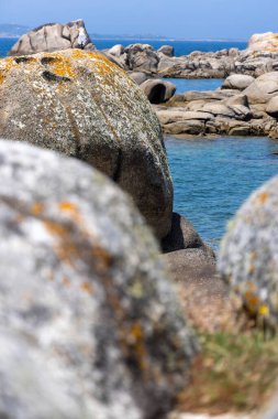 Bir martı okyanusun yakınındaki bir kayaya tünemiştir. Görüntü huzurlu ve huzurlu bir ruh haline sahip. Kuş ve okyanus bir sakinlik hissi yaratıyor.
