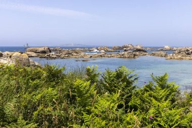 Kayalık bir kıyı şeridi ve suya giden küçük bir patika. Su sakin ve mavi.