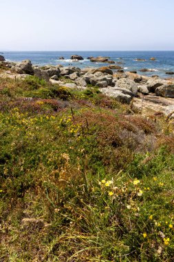 Kayalık bir kıyı şeridi ve suya giden küçük bir patika. Su sakin ve mavi.