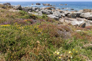 Kayalık bir kıyı şeridi ve suya giden küçük bir patika. Su sakin ve mavi.