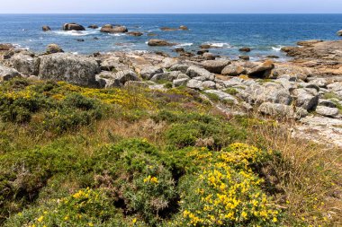 Suya giden yolu olan kayalık bir sahil. Arka planda bir yelkenli var. Su sakin..
