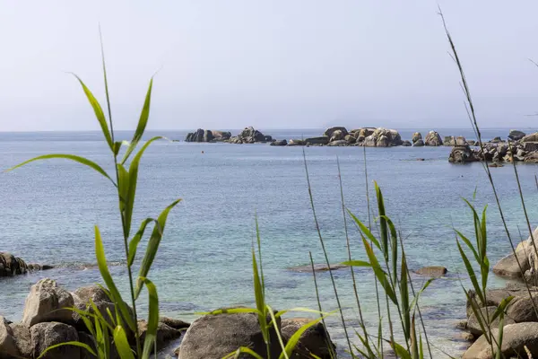 Arka planda bir su kütlesi olan kayalık bir kıyı şeridi. Su mavi ve kıyı şeridi yeşil bitkilerle kaplı.