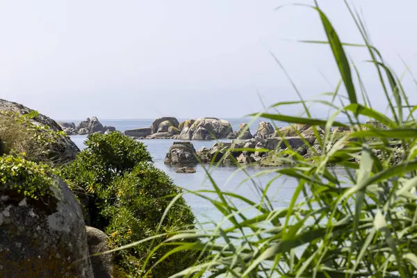Arka planda bir su kütlesi olan kayalık bir kıyı şeridi. Su mavi ve kıyı şeridi yeşil bitkilerle kaplı.
