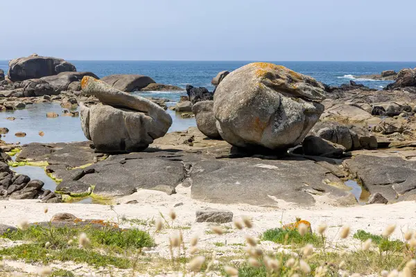 Ortasında büyük bir kaya olan kayalık bir plaj. Kumsal çimlerle kaplı ve ön planda bazı çiçekler var.