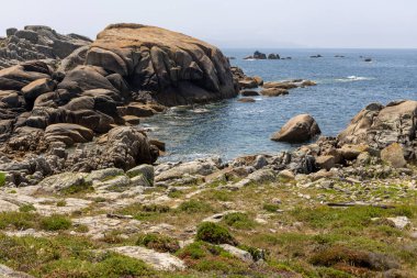 Arka planda bir su kütlesi olan kayalık bir kıyı şeridi. Kayalar bölgenin dört bir yanına dağılmış, bazıları daha büyük, bazıları daha küçük. Huzurlu ve huzurlu bir sahne..