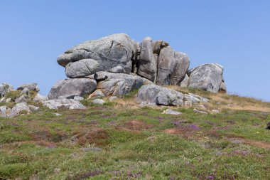 Üstünde küçük bir kaya olan kayalık bir yamaç. Yamaçta otlar ve kır çiçekleri var.