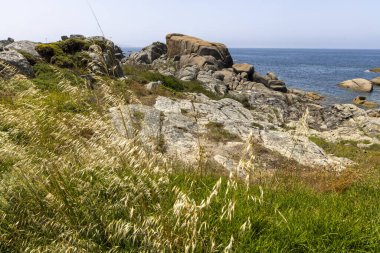Arka planda bir su kütlesi olan kayalık bir kıyı şeridi. Kayalar bölgenin dört bir yanına dağılmış, bazıları daha büyük, bazıları daha küçük. Huzurlu ve huzurlu bir sahne..