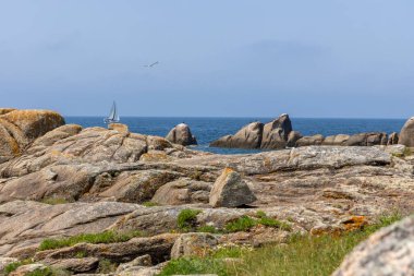Bir yelkenli okyanusta kayaların yanında seyrediyor. Gökyüzü açık ve su sakin.