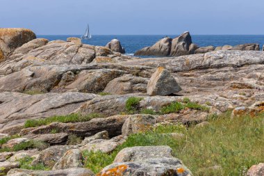 Bir yelkenli okyanusta kayaların yanında seyrediyor. Gökyüzü açık ve su sakin.