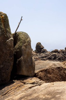 Üzerinde bir tahta parçası olan büyük bir kaya parçasına. Süzülen ağaç dalı eski ve yıpranmış görünüyor. Sahne huzurlu ve sakin, arkada okyanus var.