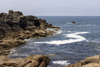 Okyanus sakin ve gökyüzü açık. Kıyı şeridine dağılmış kayalar güzel ve huzurlu bir manzara yaratıyor.