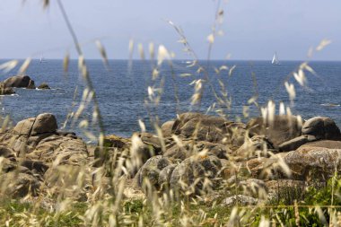 Bir yelkenli okyanusta kayaların yanında seyrediyor. Gökyüzü açık ve su sakin.