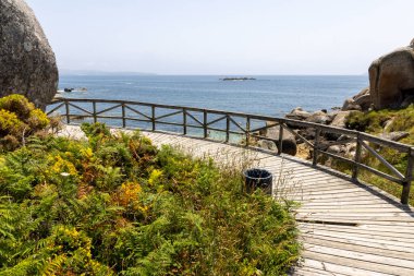 Tahta bir yürüyüş yolu okyanusa çıkar. Geçit kayalar ve çalılarla çevrili. Okyanus sakin ve mavi