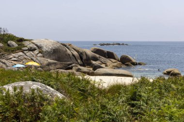Küçük yeşil çimenleri ve sarı çiçekleri olan kayalık bir kıyı şeridi. Çiçekler küçük ve dağınık, ve çimenler seyrek. Sahne sakin ve sakin, arkada okyanus var.