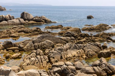Arka planda bir su kütlesi olan kayalık bir kıyı şeridi. Su sakin ve kıyı şeridi ot ve yabani otlarla kaplı.