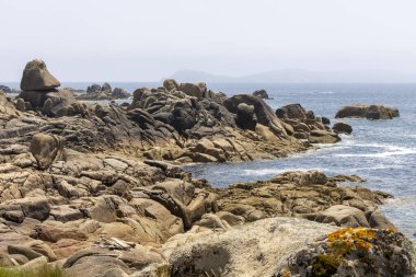 Önünde büyük bir kaya olan kayalık bir kıyı şeridi. Kayalar kıyı şeridi boyunca dağılmış ve su sakin. Sahnenin huzurlu ve huzurlu bir havası var.