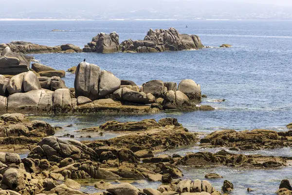 Arka planda bir su kütlesi olan kayalık bir kıyı şeridi. Su sakin ve kıyı şeridi ot ve yabani otlarla kaplı.