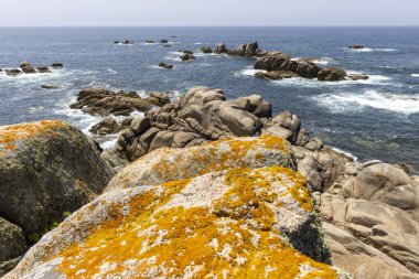 Arka planda sakin bir okyanus olan kayalık bir kıyı şeridi. Kayalar sahile dağılmış, engebeli ve doğal bir manzara yaratıyorlar. Huzur ve sükunet kavramı