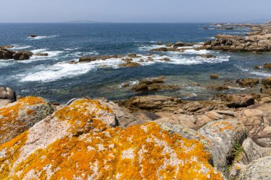 Arka planda sakin bir okyanus olan kayalık bir kıyı şeridi. Kayalar sahile dağılmış, engebeli ve doğal bir manzara yaratıyorlar. Huzur ve sükunet kavramı