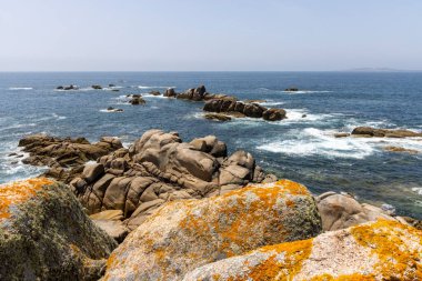 Arka planda sakin bir okyanus olan kayalık bir kıyı şeridi. Kayalar sahile dağılmış, engebeli ve doğal bir manzara yaratıyorlar. Huzur ve sükunet kavramı