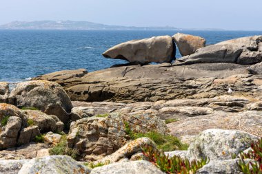 Bir kuş büyük bir kaya oluşumunun önündeki bir kayanın üzerine tünemiştir. Sahne sakin ve huzurlu. Bölgede yaşayan tek canlı kuş.