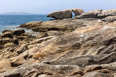 Bir kuş büyük bir kaya oluşumunun önündeki bir kayanın üzerine tünemiştir. Sahne sakin ve huzurlu. Bölgede yaşayan tek canlı kuş.