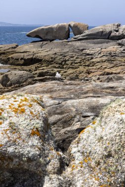 Bir kuş büyük bir kaya oluşumunun önündeki bir kayanın üzerine tünemiştir. Sahne sakin ve huzurlu. Bölgede yaşayan tek canlı kuş.