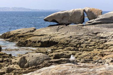 Bir kuş büyük bir kaya oluşumunun önündeki bir kayanın üzerine tünemiştir. Sahne sakin ve huzurlu. Bölgede yaşayan tek canlı kuş.