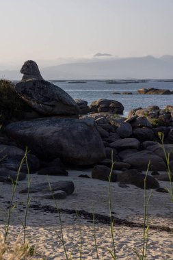 Önünde büyük bir kaya olan kayalık bir sahil ve arka planda midye çiftlikleri plaj boş ve gökyüzü bulutlu.