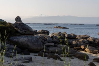 Önünde büyük bir kaya olan kayalık bir sahil ve arka planda midye çiftlikleri plaj boş ve gökyüzü bulutlu.
