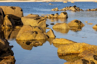 Arka planda bir su kütlesi olan kayalık bir kıyı şeridi. Su sakin ve kayalar sahnenin her tarafına dağılmış.