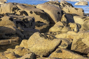 Arka planda bir su kütlesi olan kayalık bir kıyı şeridi. Su sakin ve kayalar sahnenin her tarafına dağılmış.
