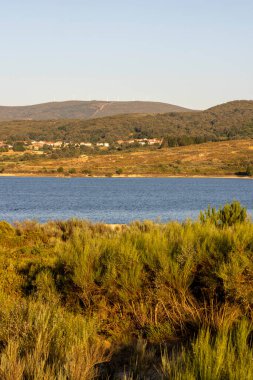 Arkasında dağlar ve göl olan güzel bir manzara. Gökyüzü açık ve güneş parlıyor.
