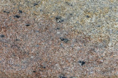 Üzerinde bir sürü delik olan bir kayanın yakın çekimi. Kaya kahverengi ve gri.