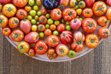 Farklı renkte domateslerle dolu bir masa. Masa kiraz domatesleri, erik domatesleri ve biftek domatesleri de dahil olmak üzere çeşitli domateslerle kaplı.