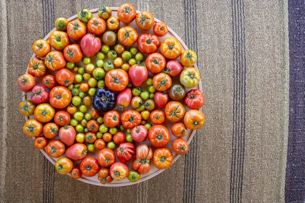 Büyük bir kase domates ve biber. Kase bir masanın üzerinde ve domates ve biberlerin renkleri parlak ve canlı.