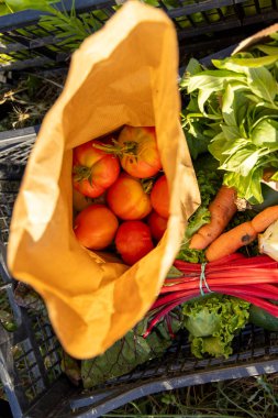 Bir torba sebze açık, havuç, domates ve marul da dahil olmak üzere çeşitli ürünler sergileniyor.