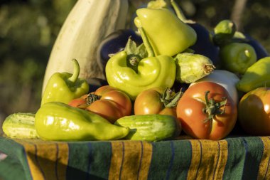 İçinde domates, salatalık ve biber olan bir sepet sebze. Sepet masanın üstünde ve sebzeler üst üste yığılmış.